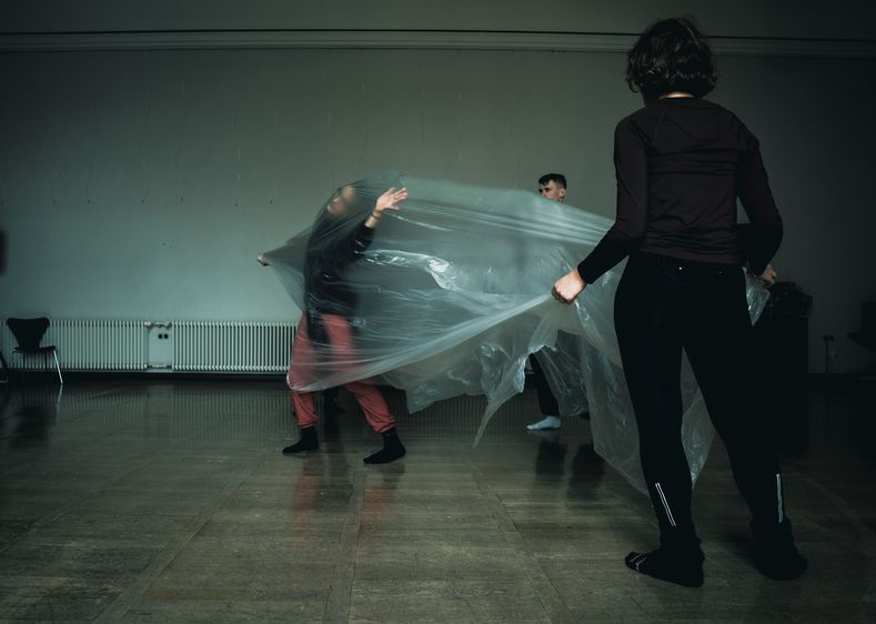 © Christian Andrés Parra Sánchez