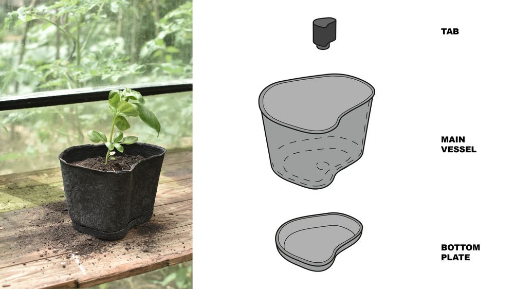 © Nora Giuliana Iannone, Massimo Scheidegger