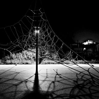 / Anna Cramer / Anna Cramer