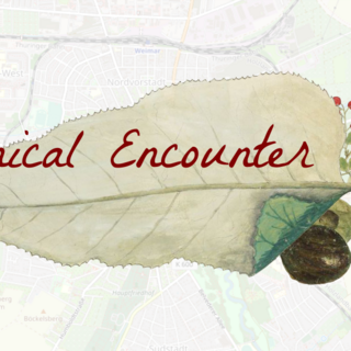 Botanical Encounter / Drawings by Johannes Kentmann and Prints by Theophil Kentmann. (Klassik Stiftung Weimar, Herzogin Anna Amalia Bibliothek, Fol 323) Botanical Encounter / Drawings by Johannes Kentmann and Prints by Theophil Kentmann. (Klassik Stiftung Weimar, Herzogin Anna Amalia Bibliothek, Fol 323)