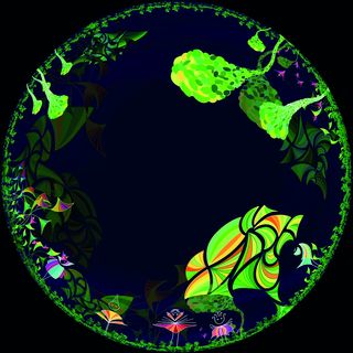 / Maximiliane Nirschl / Maximiliane Nirschl