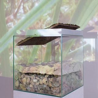 Modell des Regenmoors mit Projektion / Carmen Draxler