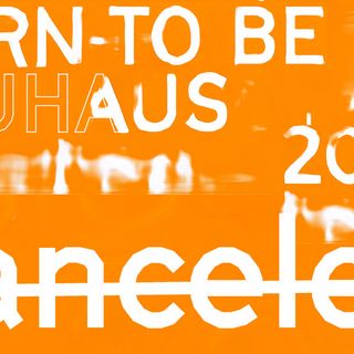 / Adrian Palko / Adrian Palko