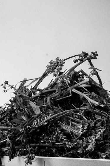 © Beatriz Oria Lombardía