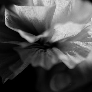  / Eric Beck