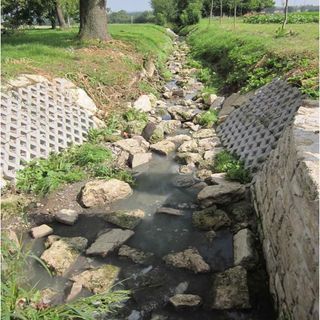 Eines der repräsentativen Modelle: der Abwassergraben in Wohlsborn / Foto: Prof. Dr. Jörg Londong