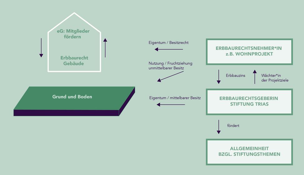 © Grafik: Elisabeth Gutzweiler