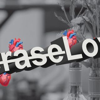 -erase-Love / Yelta Köm -erase-Love / Yelta Köm