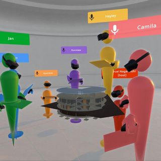 / Camila Ribellato Baldin / Camila Ribellato Baldin