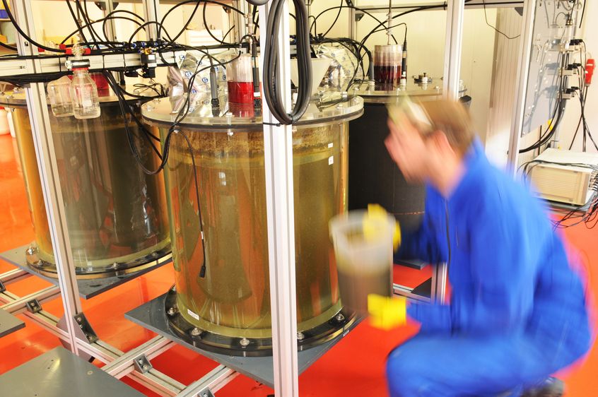 © Hamish John Appleby