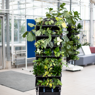 "GREEN2SMART" Wand / Allianz Thüringer Ingenieurwissenschaften