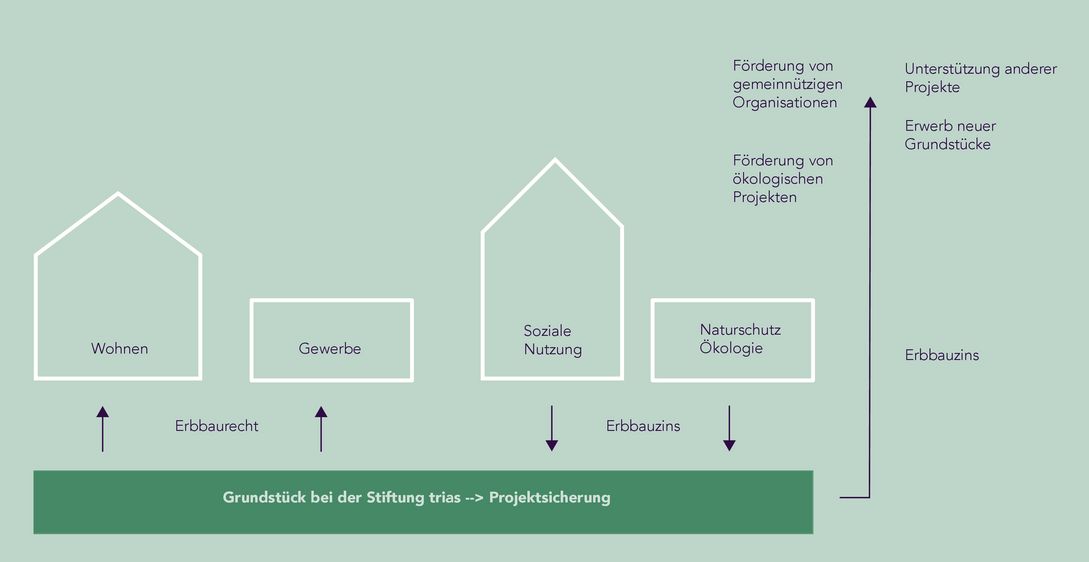 © Grafik: Elisabeth Gutzweiler