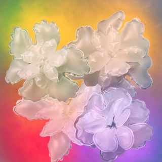 Emotion Bouquet / Alisa Popp and Hanna Danilishyna