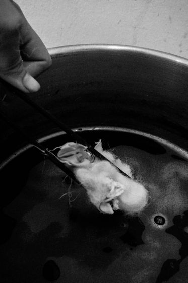 © Beatriz Oria Lombardía