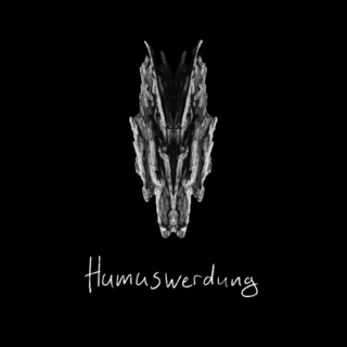 Humuswerdung - Siehe Video / Elia Zeißig