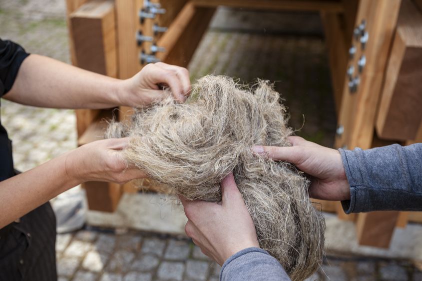 © Thomas Müller, Bauhaus-Universität Weimar