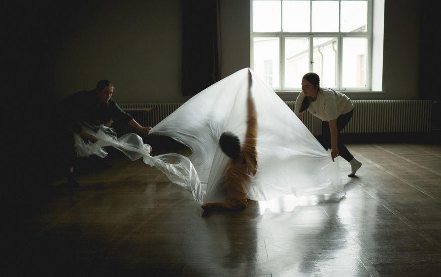 © Christian Andrés Parra Sánchez