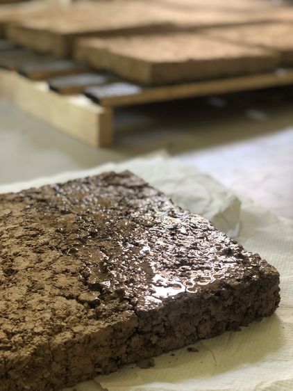 © Theresa Peisker, Lara Schumann