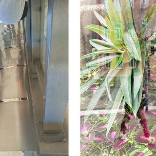 / Hayat Suleyman, Jacob Prucker / Hayat Suleyman, Jacob Prucker