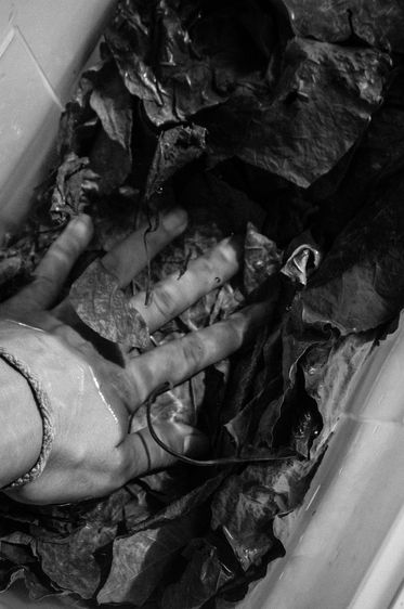 © Beatriz Oria Lombardía