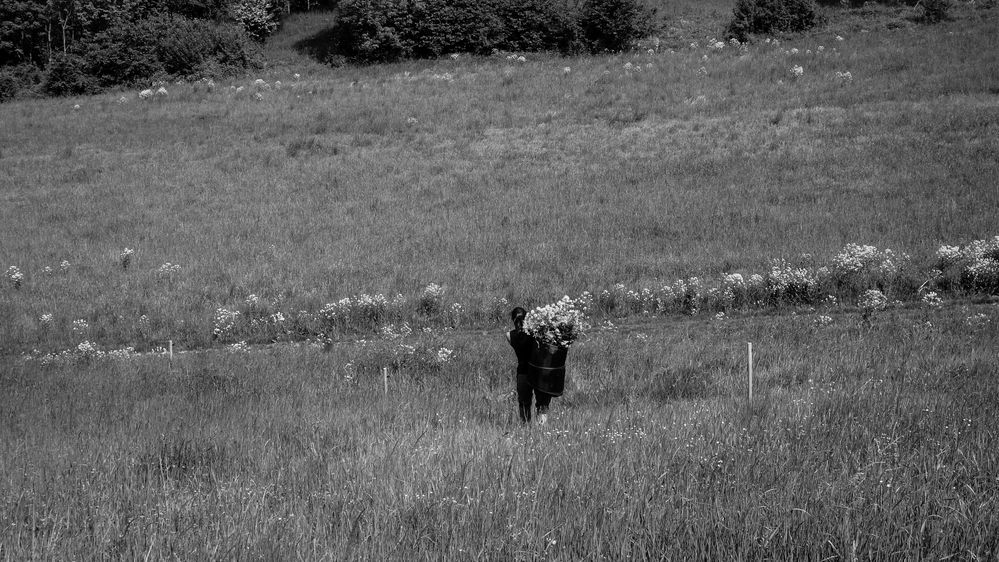 © Beatriz Oria Lombardía