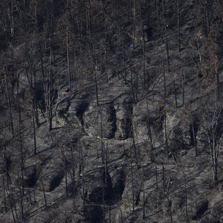  / Eva-Maria Weikert
