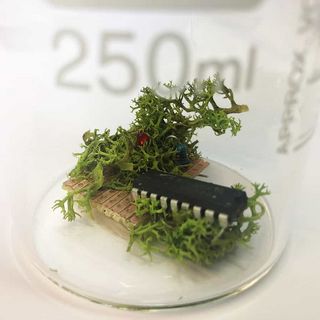 Jenny Brockmann, "Archive of a Future Memory #2" (Detail), 2020 / Jenny Brockmann
