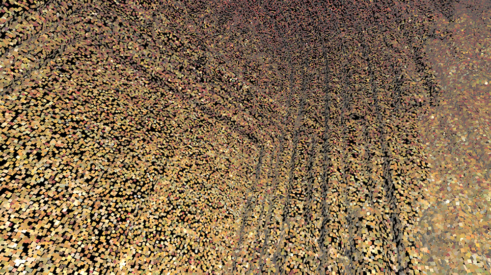 © Aixa Navas Valbuena