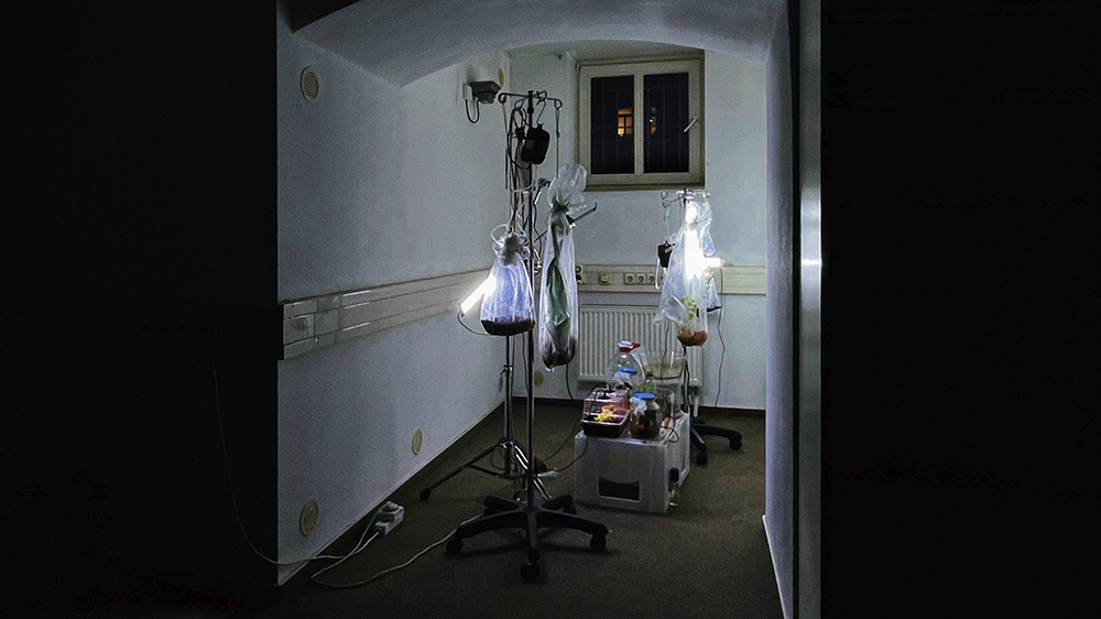 © Fiene Freist, Hanna Bremerich