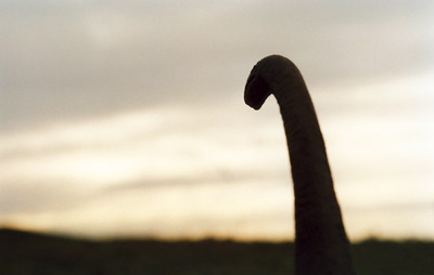 tierfoto_nam_03.jpg