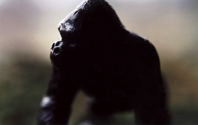 tierfoto_nam_05.jpg