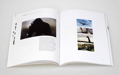 tierfotografie_katalog_3.jpg